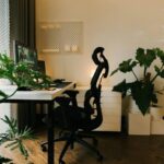 Tips for Creating a Cozy and Productive Home Office Environment